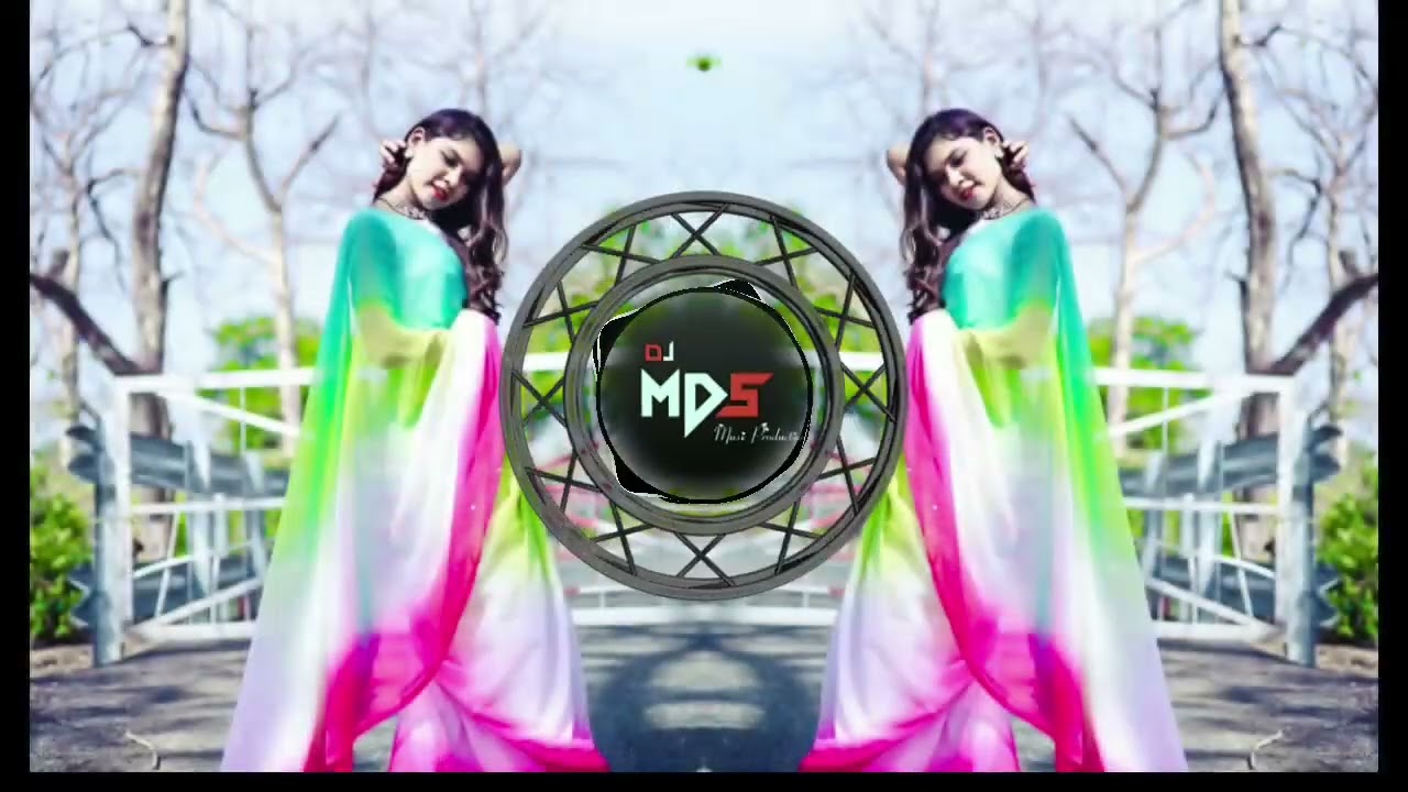 kab aayegi sango Chhindwara jila me !! Now gondi song !! DJ MDS music video 