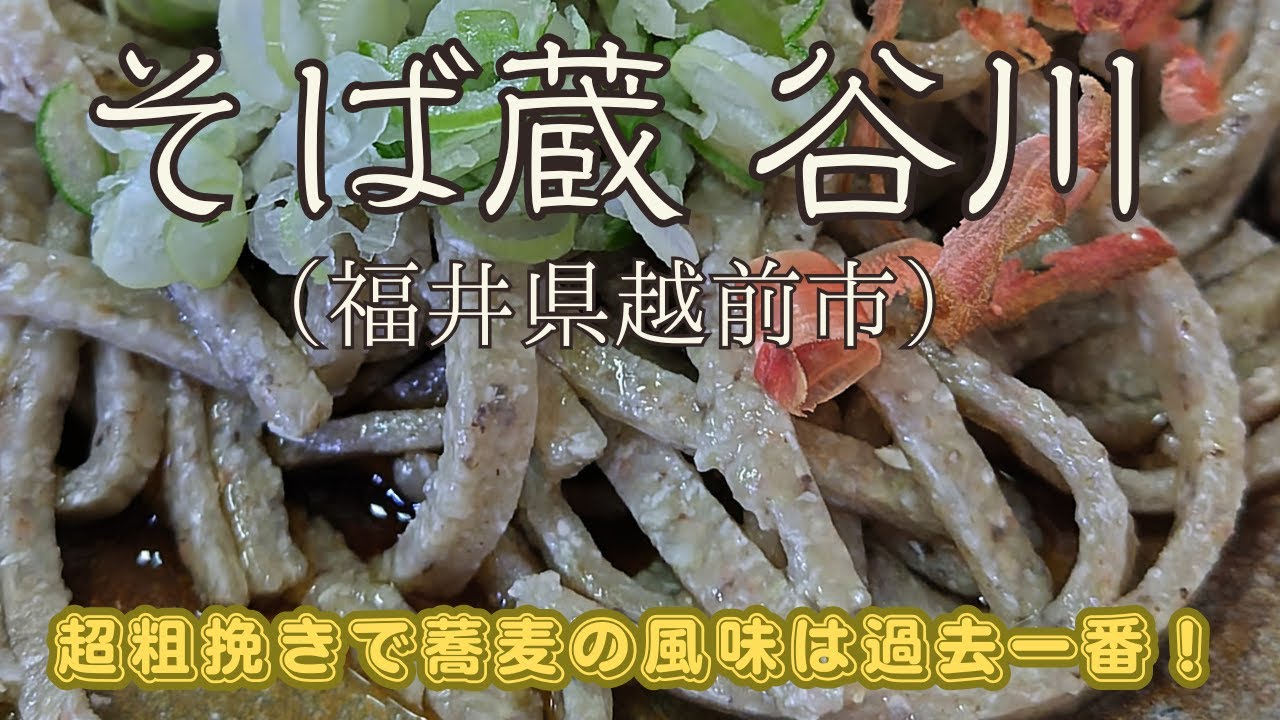 【そば蔵　谷川】越前おろしそばの名店で衝撃を受ける。粗挽きで蕎麦の風味は過去一番のもの