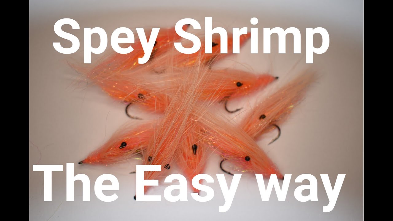 Tutorial - Tie a Spey shrimp the easy way