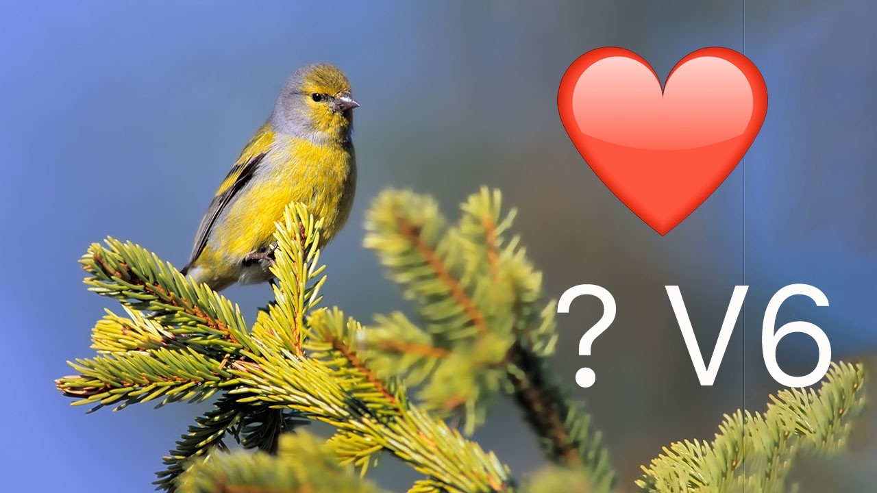 Quiz Oiseaux Volume 6 avec martinet, venturon…