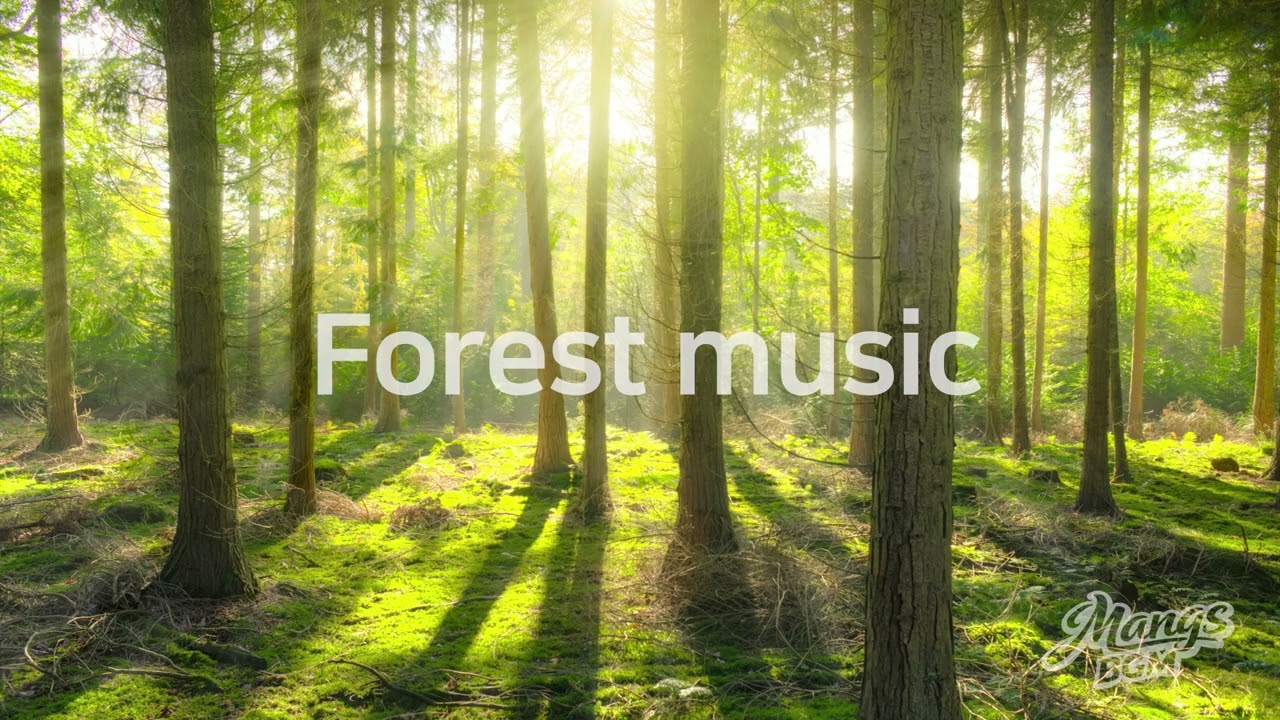 숲속에서 듣는 힐링 음악 🌲 마음이 편안해지는 자연 사운드 | 집중·휴식 Healing Jazz Flowing Through the Forest