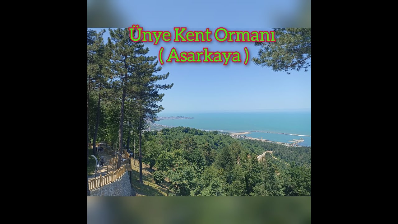Asarkaya kent ormanın manzarası Ünye ilçesi