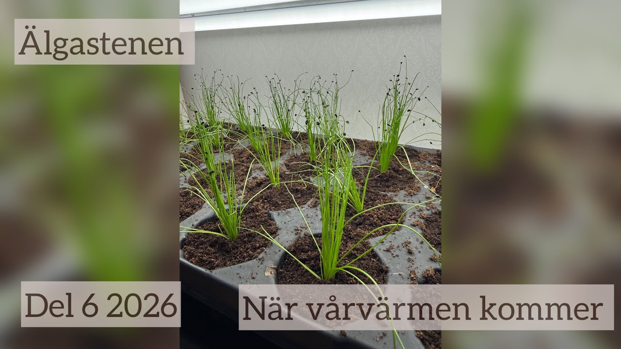 24 februari 2026