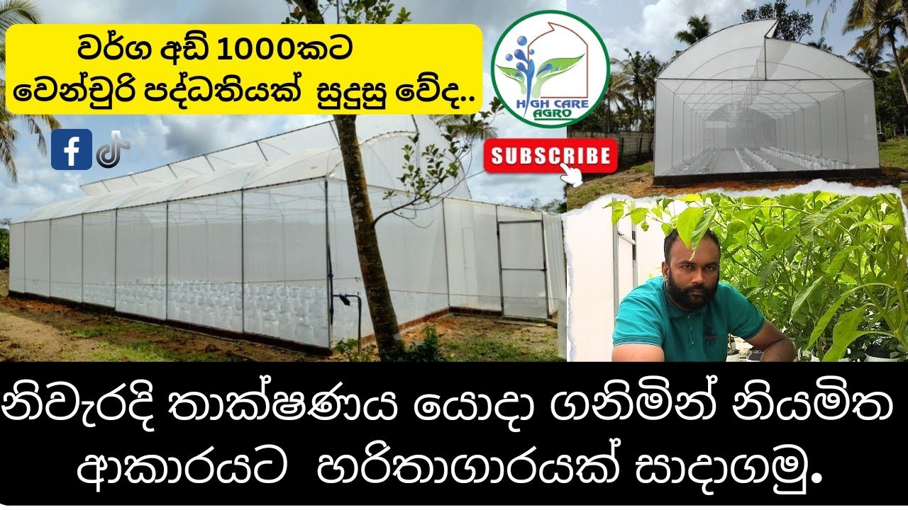 Polytunnel Srilanka|Let's Make A Greenhouse |නිවැරදි තාක්ෂණයෙන් නියමිත ආකාරයට හරිතාගාරයක් සාදාගනිමු