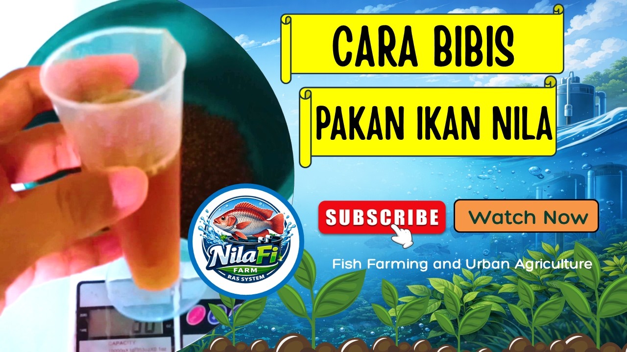 Cara Bibis Pakan Ikan Nila