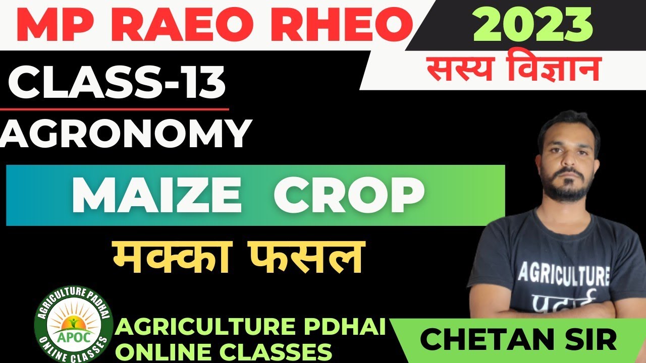 Class-13 | Maize Crop | मक्का | MP RAEO RHEO SADO | Field crops | By Chetan Sir