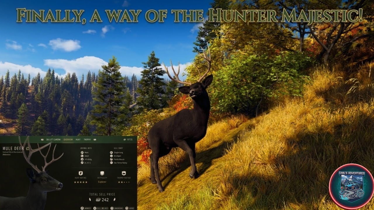 Way of the Hunter live finally a majestic 🙌 