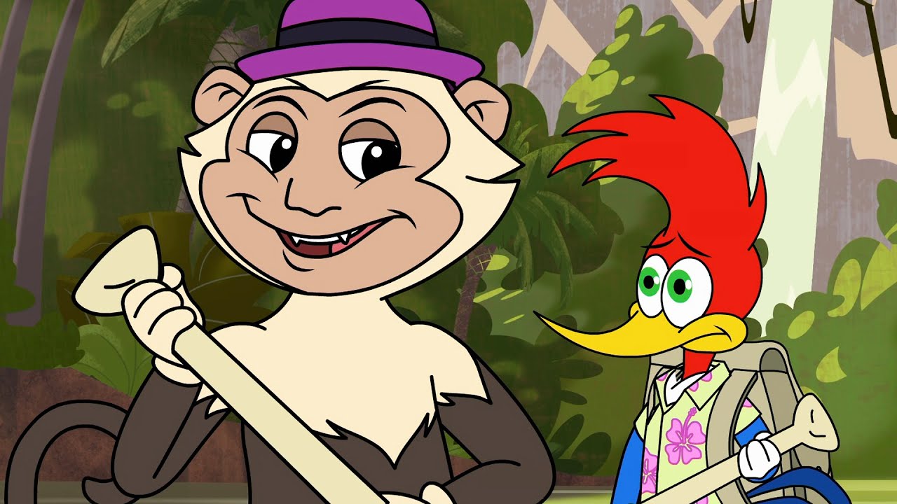 La chasse au trésor | Épisode entier | Woody Woodpecker en Français