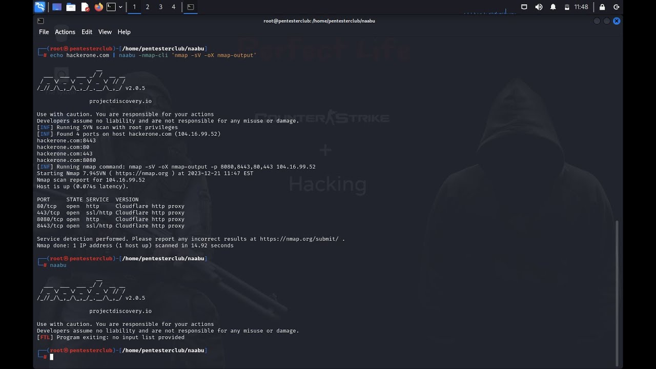 Naabu: Fast and Reliable Port Scanning Tool for Enumerating Valid Ports