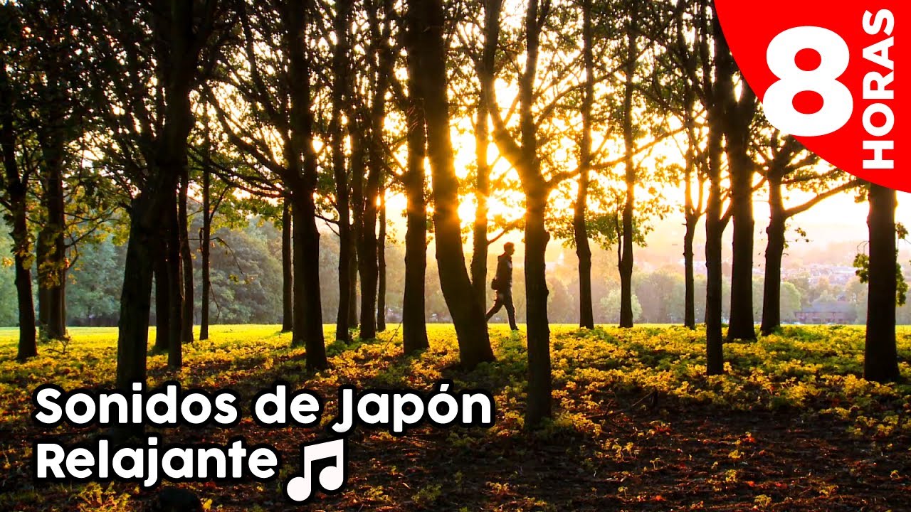 Sonidos naturaleza Japón usado en animes-sonidos del bosque, cigarras, aves para dormir y relajarse