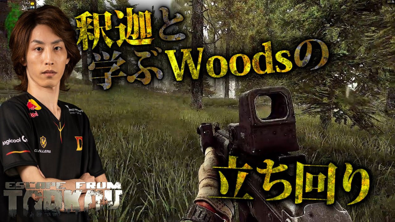 EFT 釈迦と学ぶWoodsの立ち回り