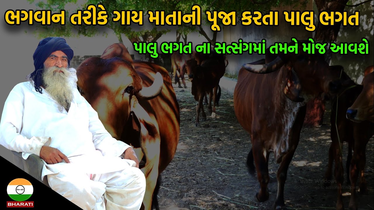આ પાલુ ભગત ની વાત સાંભળી તમને મોજ આવશે || ચારણ મહાત્માં શ્રી પાલુભગત  palu Bhagat Interview