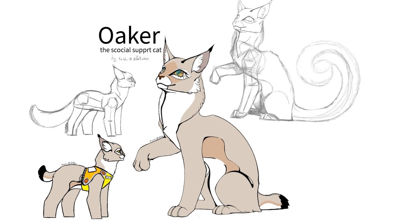 Oaker the social support cat. Character design.