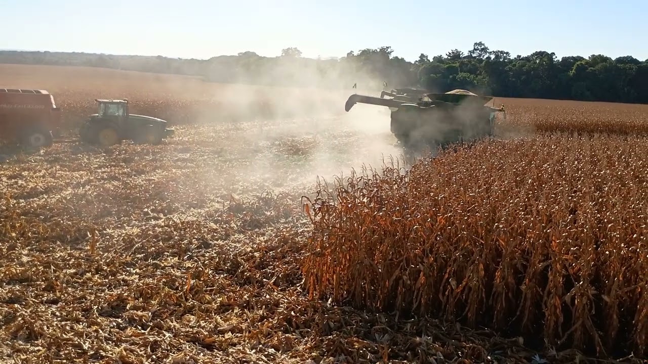Agro MT.mais um dia de colleita.