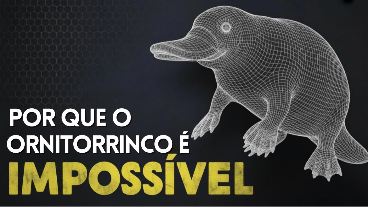 POR QUE ESSE ANIMAL CONFUNDE A CI&Ecirc;NCIA? | ORNITORRINCO