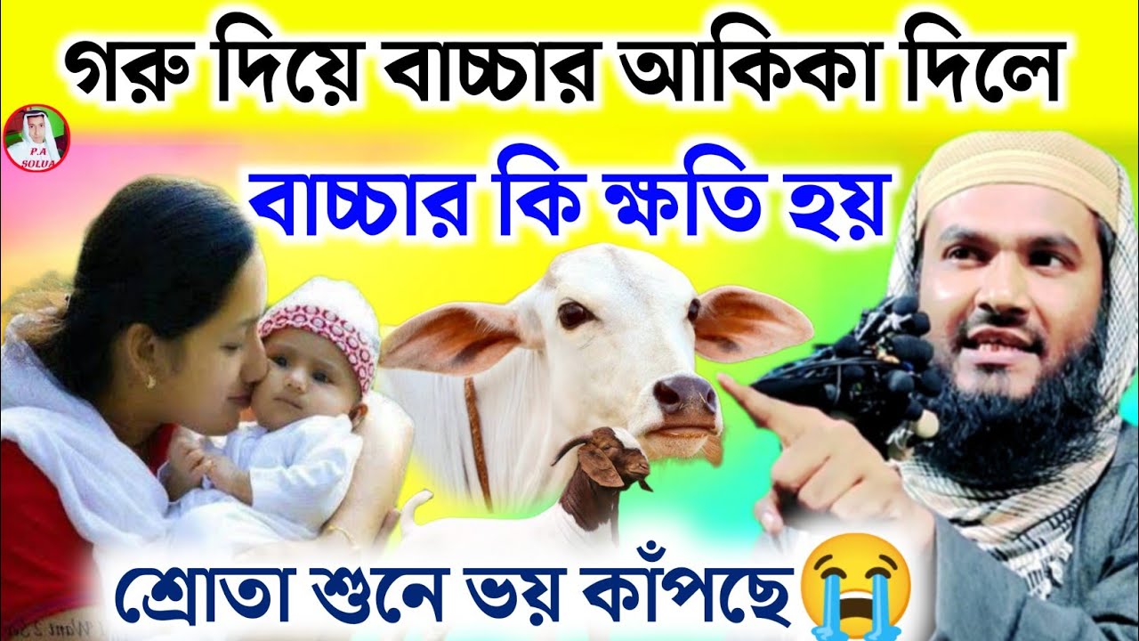 গরু দিয়ে বাচ্চার‌ আকিকা দিলে বাচ্চার ক্ষতি হয়🤦!শ্রোতা শুনে ভয় কাঁপছে😭 Maulana Momtazul Islam Waz