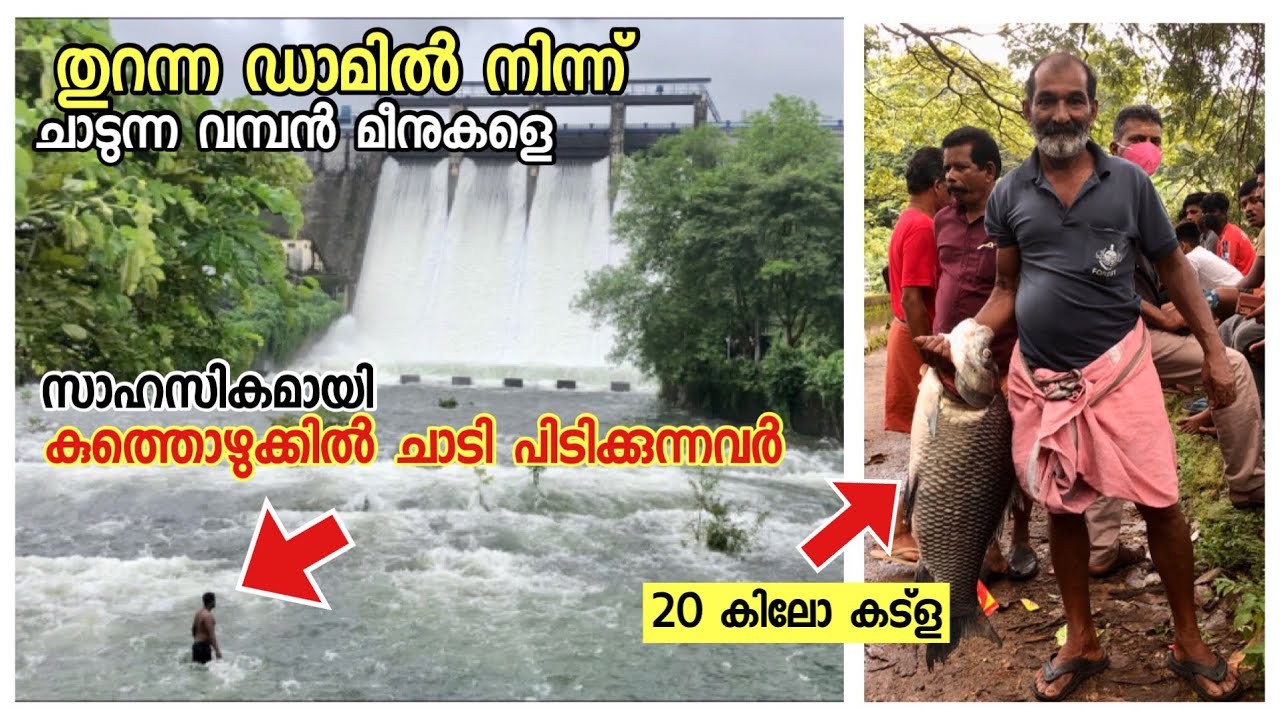 People catching fishes when Peechi Dam gates opened 😲 | vlogettan