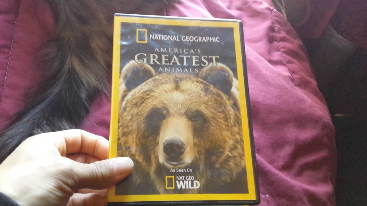 My National Geographic Movie Collection Bloopers Included