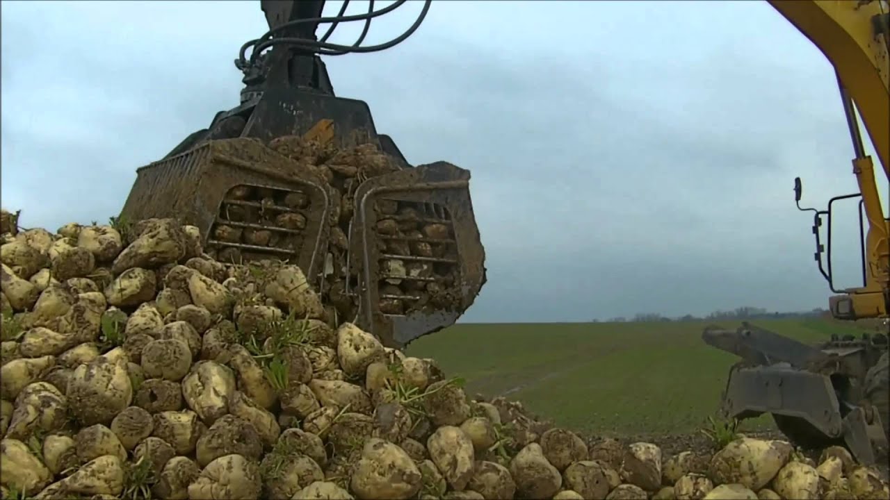 campagne de betteraves dans le 59 (agrimachine59)