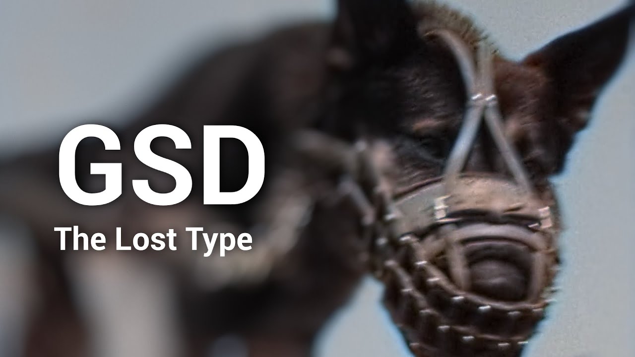 GSD: Lost Type - Trimmed Version
