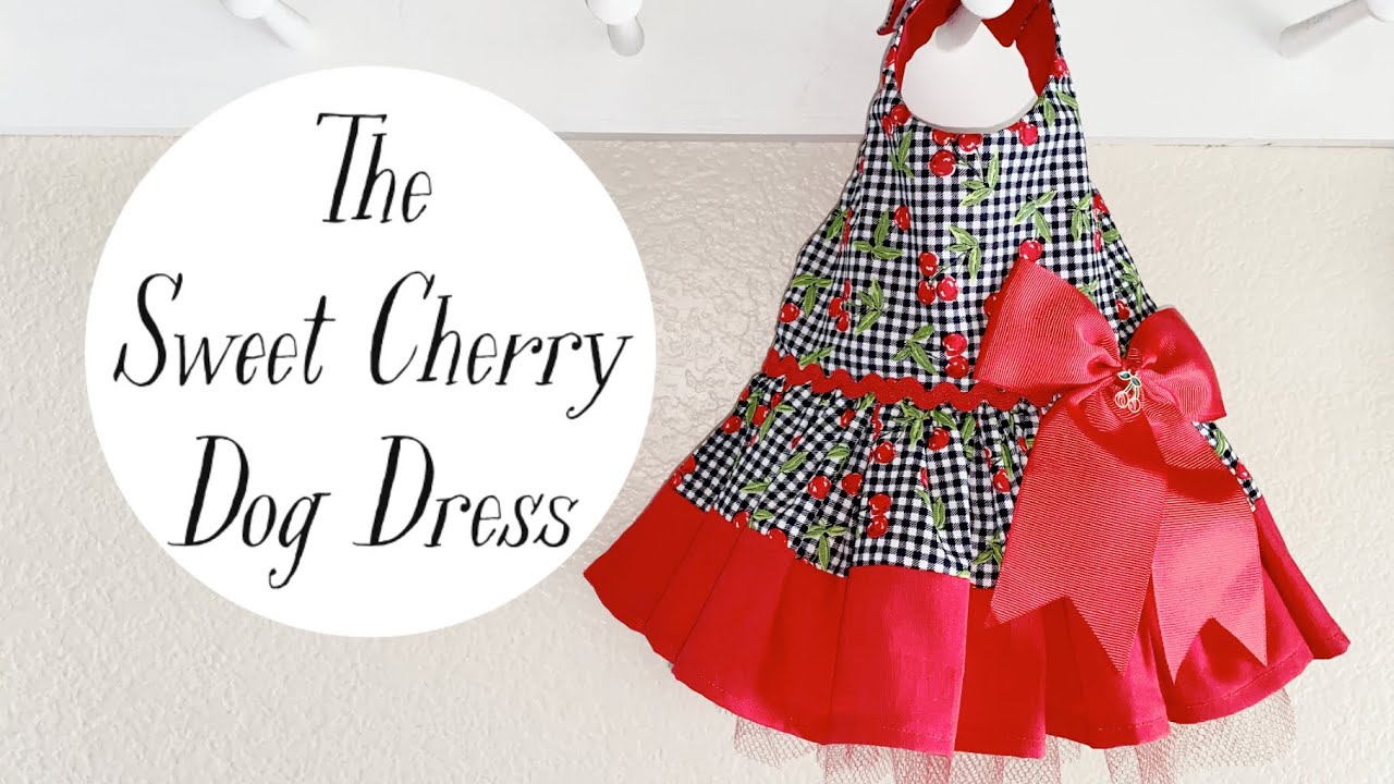 How to Sew a Dog Dress and Special Announcement