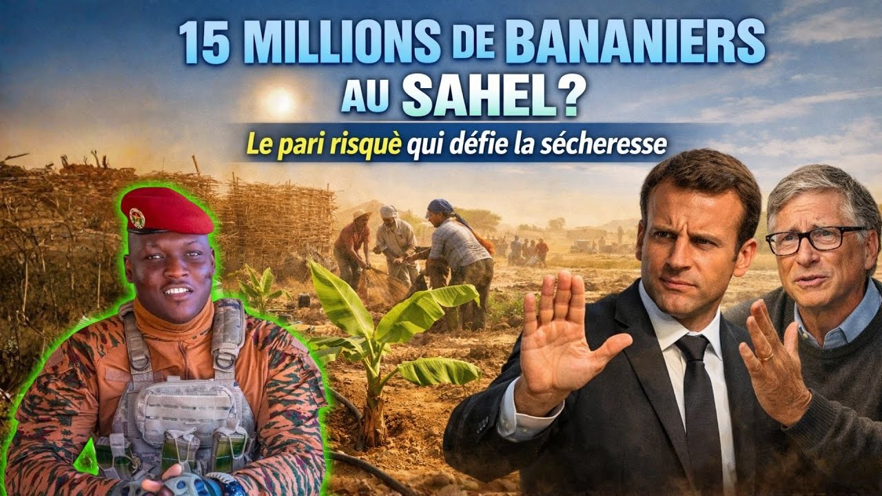 Ibrahim Traoré face au monde : 15 millions de bananiers dans le Sahel, mission impossible ?