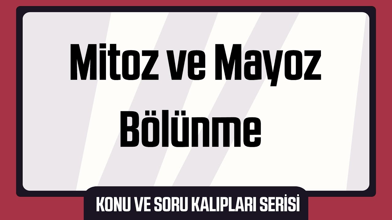 Mitoz ve Mayoz Bölünme (Konu ve Soru Kalıpları Serisi)