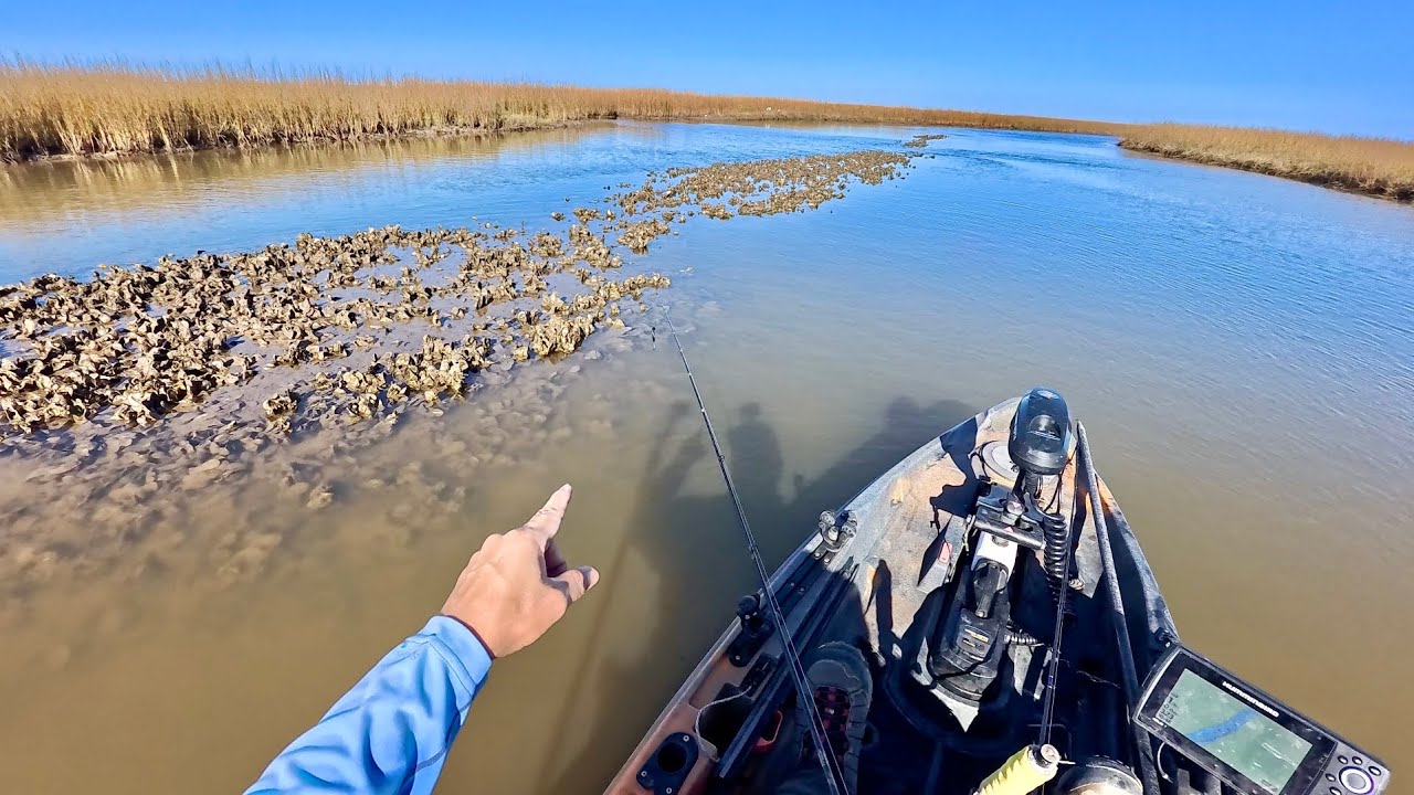 This spot always holds big fish: Surfside hot in December (S9 E15)