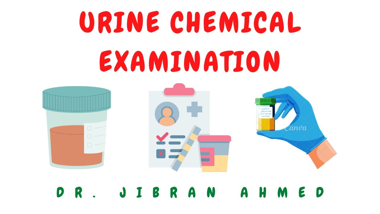 URINE II CHEMICAL EXAMINATION II PRACTICAL PATHOLOGY II CLINICAL PATHOLOGY @DR. JIBRAN AHMED