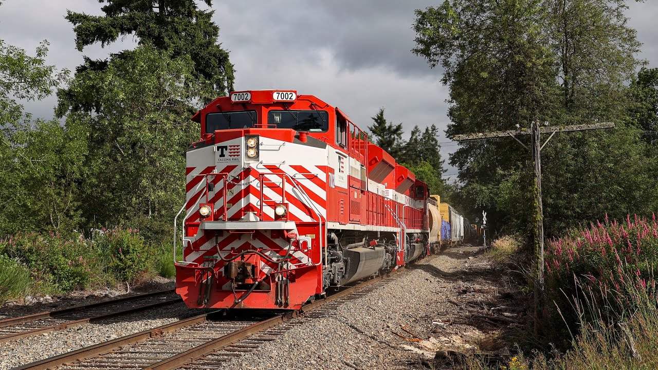 Chasing Tacoma Rail's Hill Job from Tacoma to Frederickson! | 2022 PNW Trip