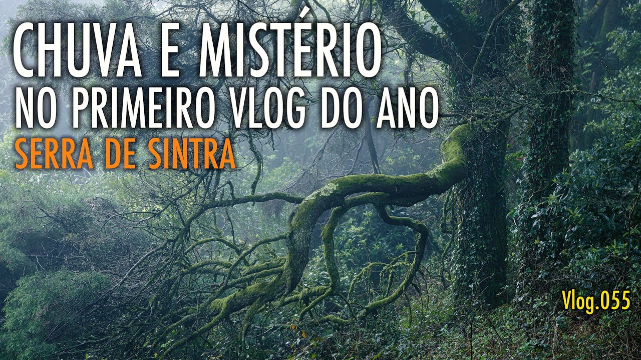 REGRESSO ÀS FLORESTAS DE SINTRA: DESAFIO COM CHUVA INTENSA, NEVOEIRO E 8 IMAGENS CAPTADAS
