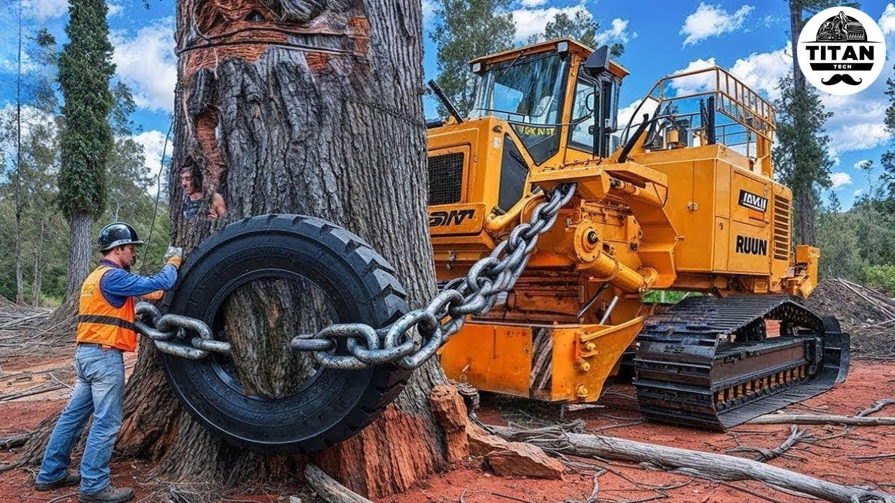 Extreme Dangerous Monster Stump Removal Excavator | Amazing Fastest Wood Chipper Machines #47