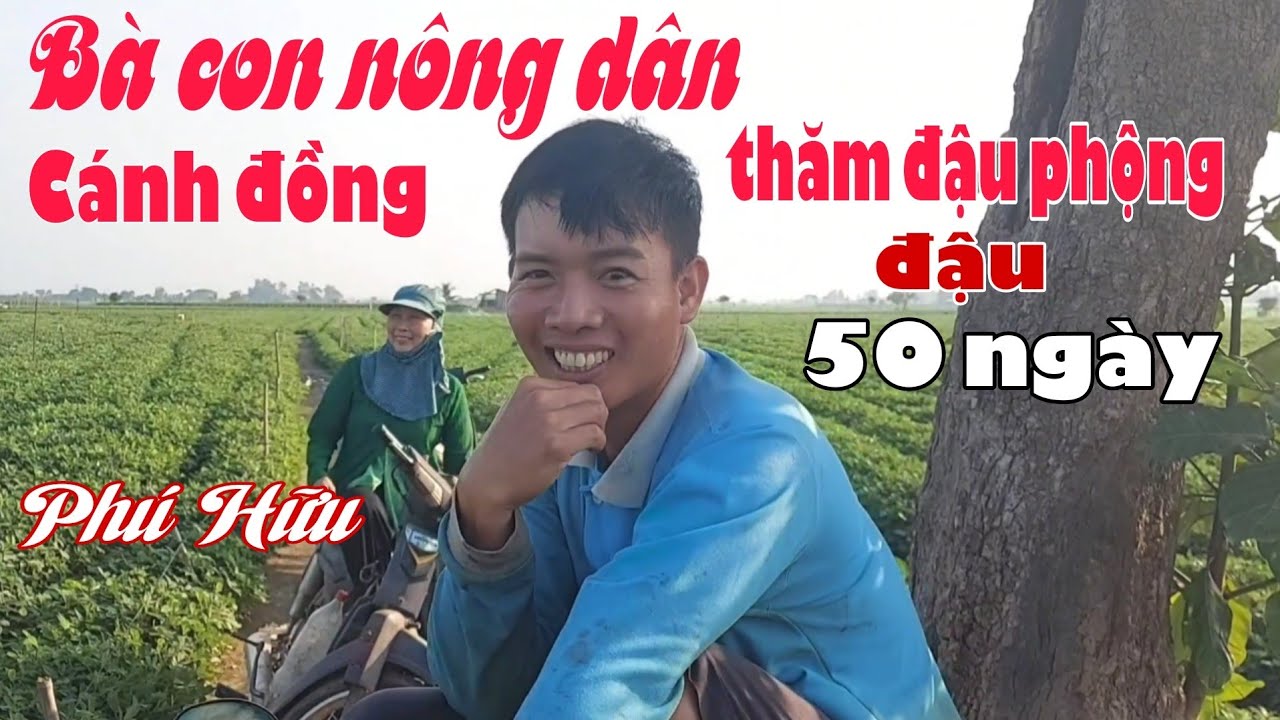 Bà con nông dân thăm đậu phộng 50 cánh đồng phú Hữu