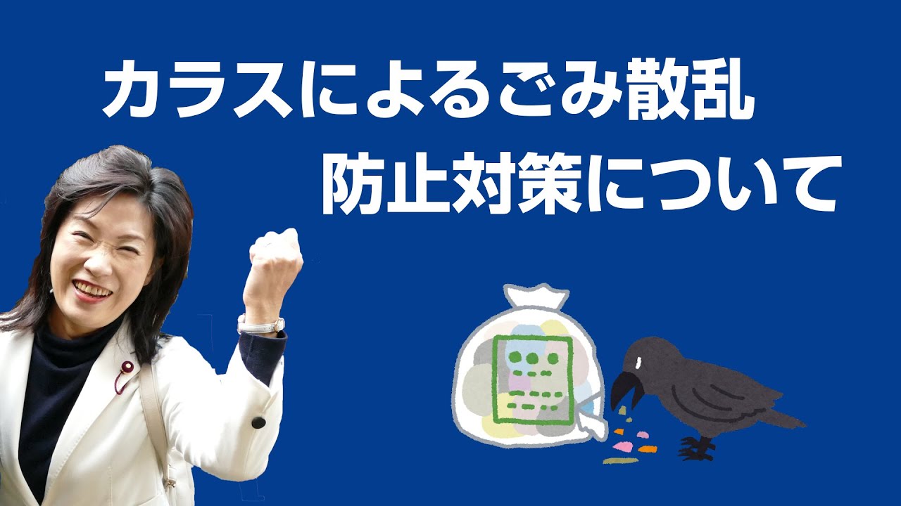 【市政報告】カラスによるごみ散乱防止対策について