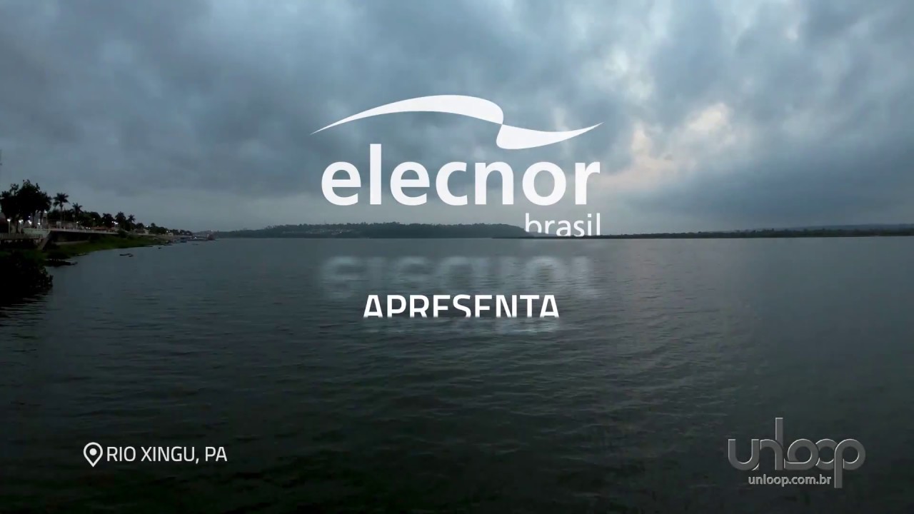 Lote 31 - Linhas de Transmissão 230kV SE Xingu - SE Altamira - SE Transamazônica - SE Tapajós