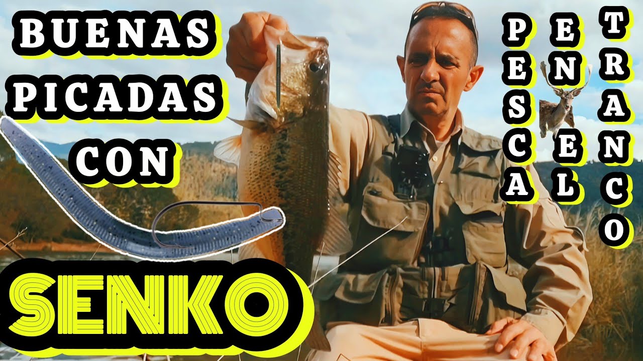 УЛОВЫ И ПОКЛЮВКИ ЧЕРНОГО ОКУНЯ НА СПИННИНГ И НАИБОЛЕЕ ЭФФЕКТИВНЫЕ ПРИМАНКИ