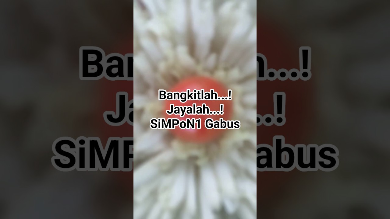 Bangkitlah... Jayalah... SiMPoN1 Gabus