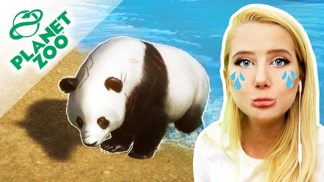 PANDA V OHROŽENÍ 🐼 A ÚŽASNÝ LABYRINT ● Planet Zoo 10