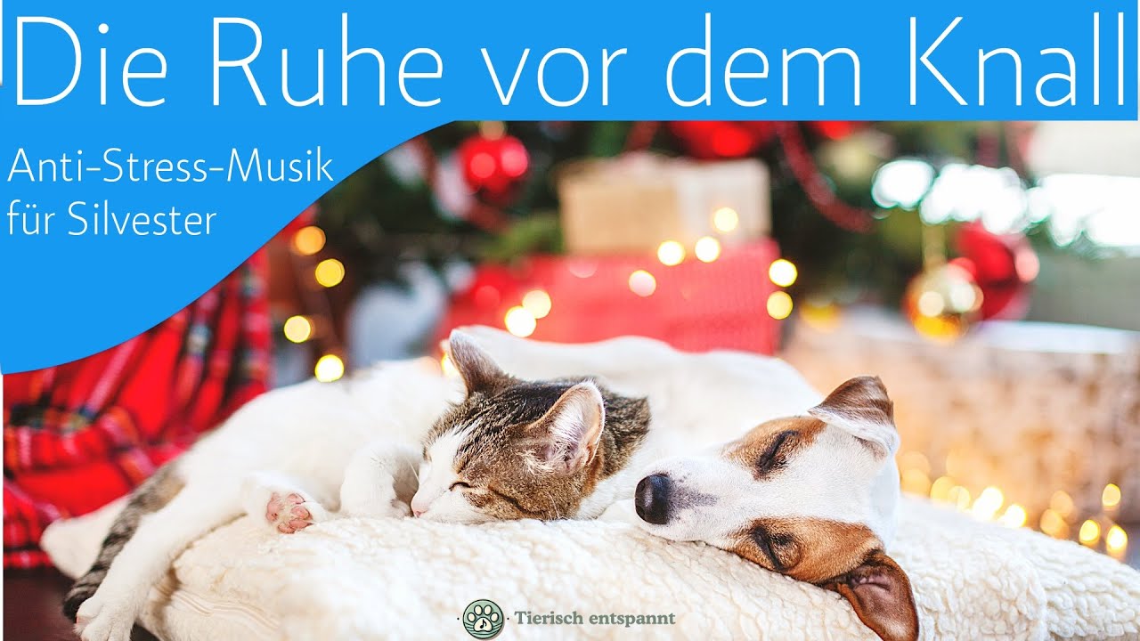 Sanfte Musik f&uuml;r die laute, erschreckende Silvesterzeit f&uuml;r Katzen, Hunde und Menschen