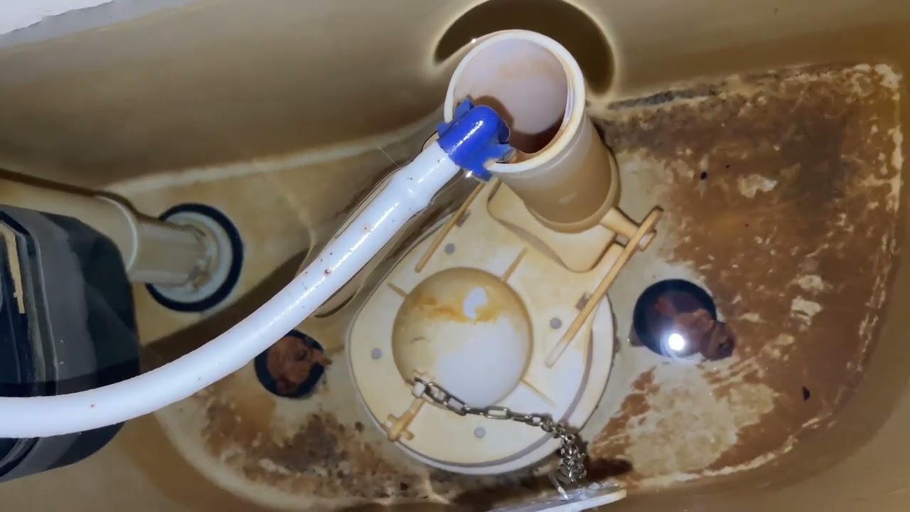 Fluid master toilet fill valve replacement