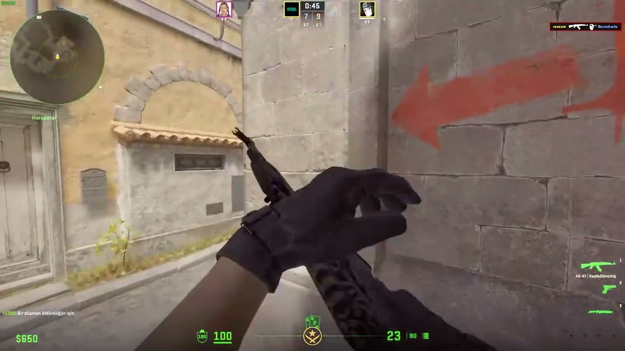 my other half cs