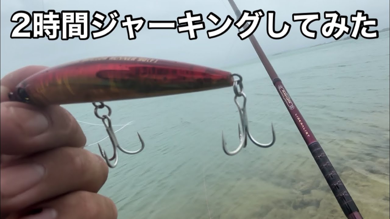夕マズメに石畳が広がるブレイクポイントで、2時間ジャーキングして、大物ミーバイを釣りました