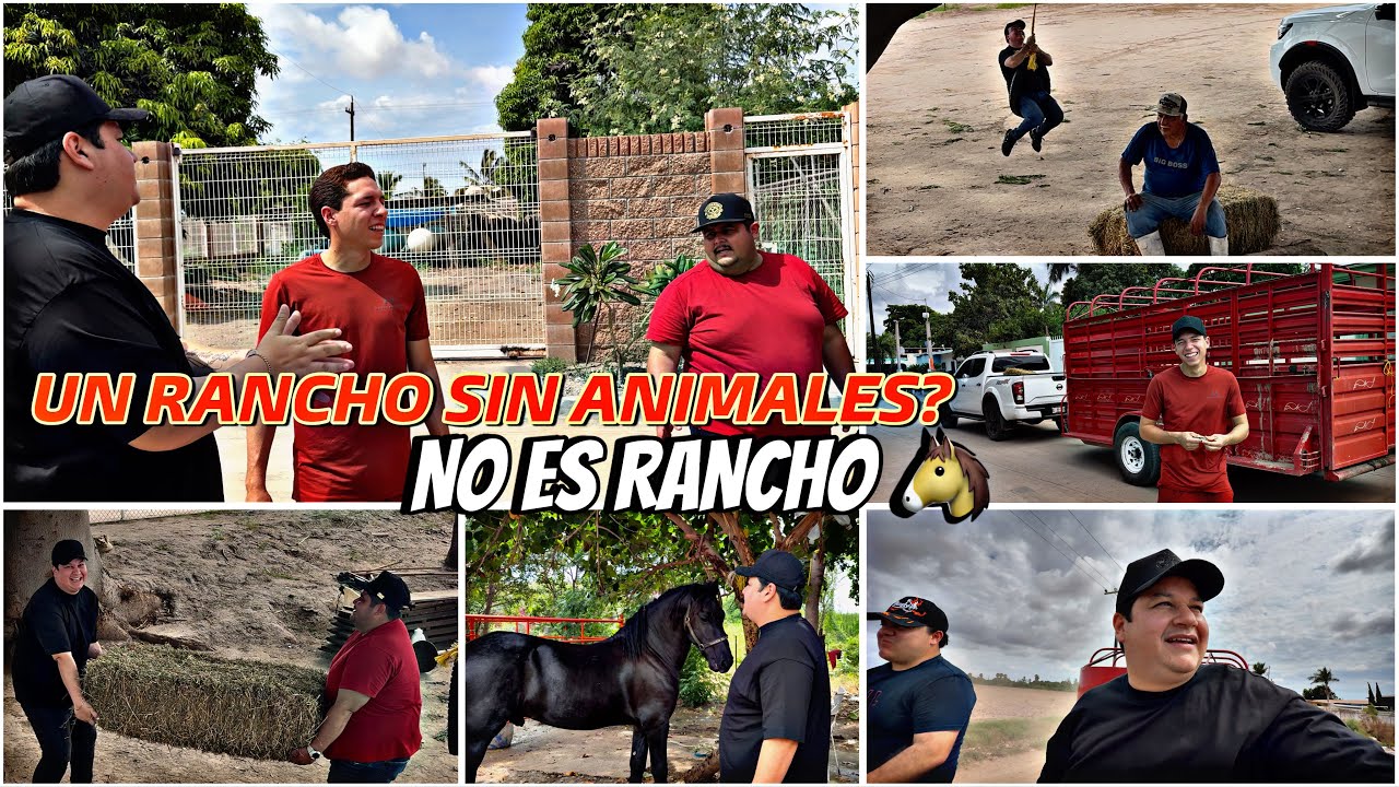 LE HAGO ESTE REGALO AL MARIO PARA SU RANCHO 🎁 @elmariomt7862 