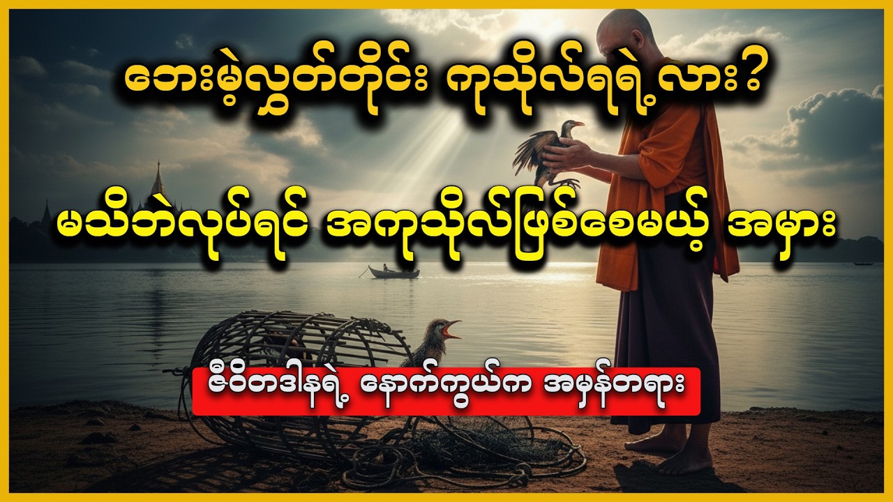 ဘေးမဲ့လွှတ်တိုင်း တကယ်ကုသိုလ်ရသလား။ (မှားယွင်းသော ဇီဝိတဒါန၏ နောက်ကွယ်က အမှန်တရား) #DHAMMAALIN