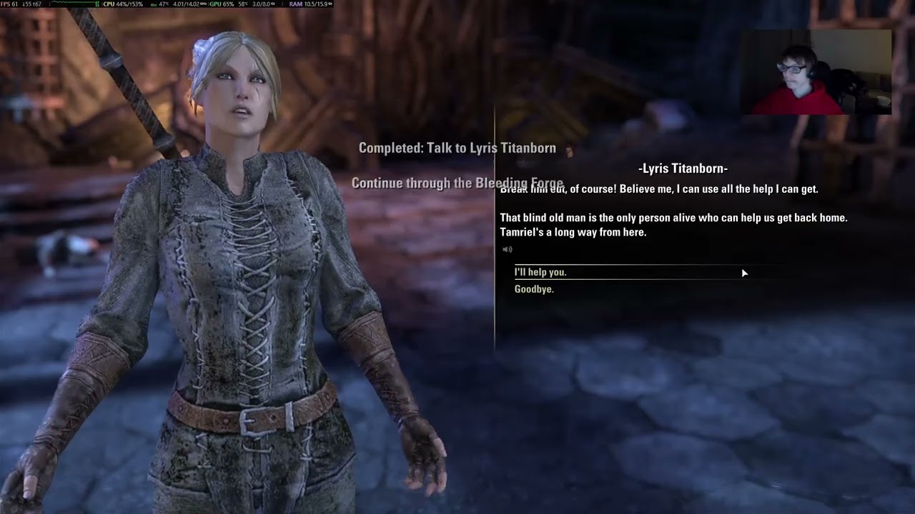 GAMEPLAY ELDER SCROL ONLINE