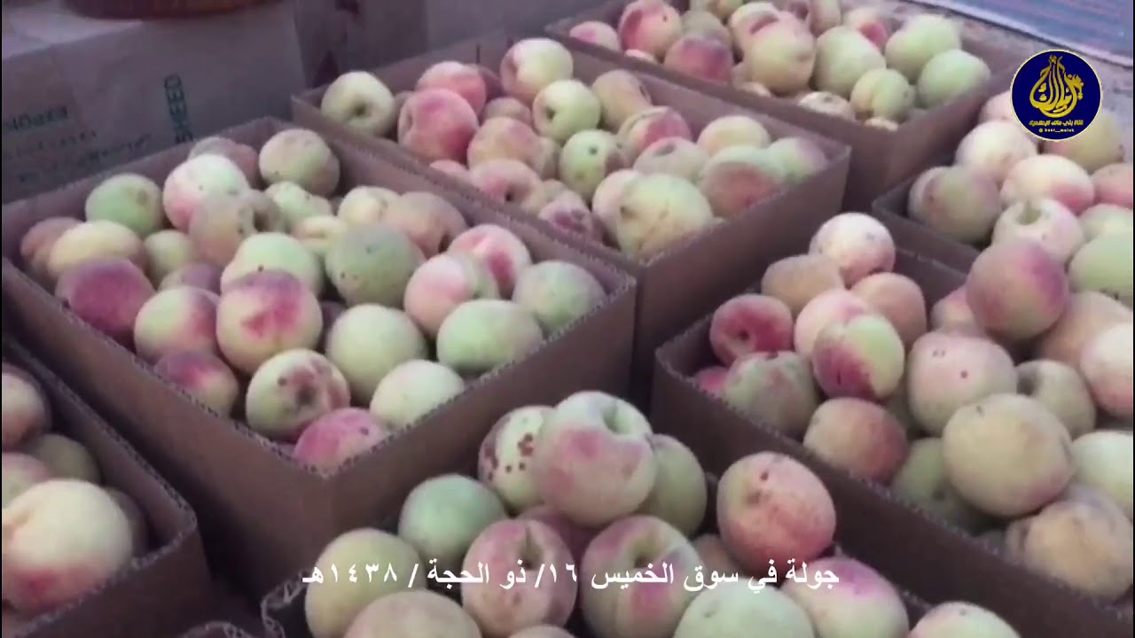جولة في سوق الخميس  صياده بني مـــــــالـك  ١٦/ ذو الحجة / ١٤٣٨هـ