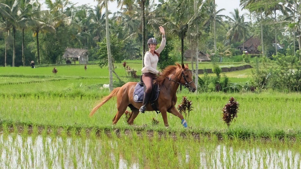 Ubud Horse Stables - Horse Riding in Ubud Bali - Official Video