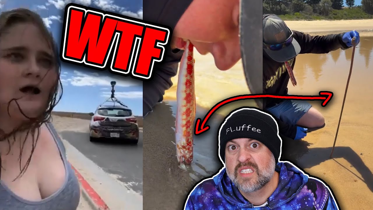 INTERNET Vids are Getting WEIRD! 🤢