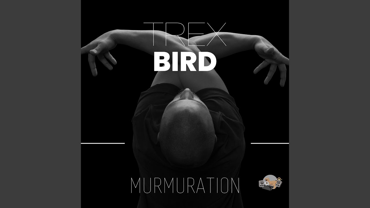 BIRD (Short Version)