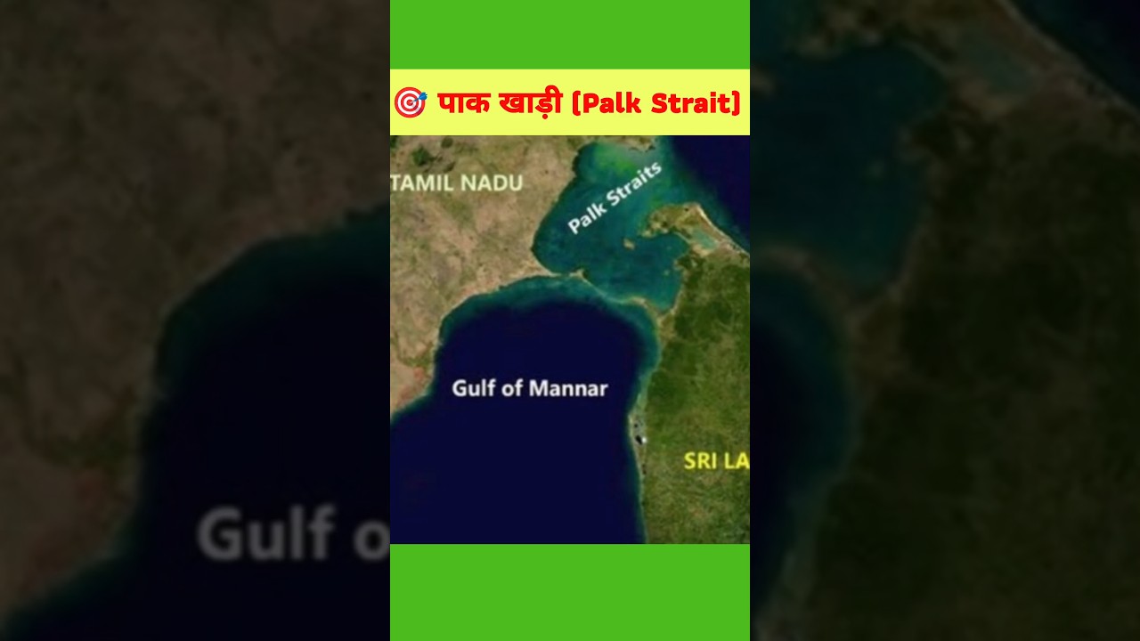 पाक खाड़ी (Palk Strait) मन्नार की खाड़ी पाक खाड़ी (Palk Strait) मन्नार की खाड़ी 